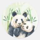 Suche nach bears aufkleber Junge