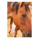 Recherche de cachette posters Toute personne
