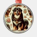 Recherche de tibétain ornements Chiot