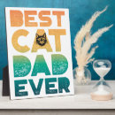Recherche de chats plaques Mignon