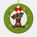 Suche nach schokoladen labrador ornamente Lustig
