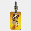 Recherche de bouledogue français bagages étiquettes Photographie