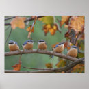 Suche nach twitch poster Natur