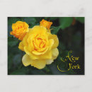 Recherche de rose new york cartes postales Fleur