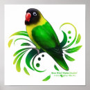 Suche nach lovebirds poster Papageien