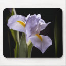Suche nach lila iris mousepads Sommer