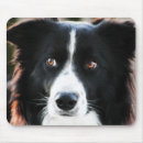 Suche nach collies mousepads Bauernhof