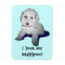 Suche nach pudel magnete Welpe