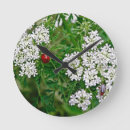 Recherche de coccinelles horloges Fleur