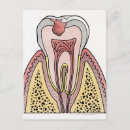 Suche nach bakterien postkarten Nah up