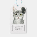 Recherche de chat bijoux Kittern