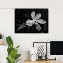 Suche nach gardenia poster Natur