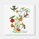 Suche nach kolibri magnete Blume