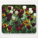 Recherche de jaune tulipe tapis souris Jardin