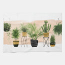 Recherche de oasis cuisine linges Plante de maison