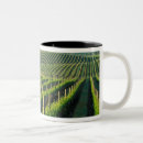 Recherche de napa tasses Vallée de napa