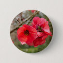 Recherche de fleur japonaise badges Rose