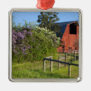 Suche nach busch ornamente Blume