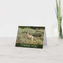 Suche nach antilope karten Natur