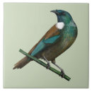 Suche nach vogelbeobachtung fliesen Singvogel