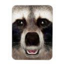 Suche nach lustigen waschbär magnete Tier