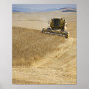 Suche nach erntemaschine poster Landschaft