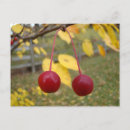 Recherche de vif cartes postales Automne