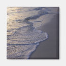 Recherche de cana de punta magnets Tropical