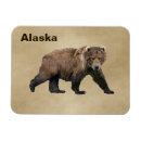 Recherche de bear magnete Animaux