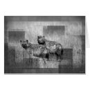 Recherche de hyennas cartes postales Sauvage