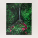 Recherche de bali puzzles Paysage