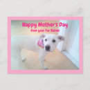 Recherche de chiots mignons cartes postales Pour elle