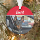 Suche nach pinscher ornamente Haustiere