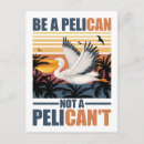 Recherche de pélicans cartes postales Plage