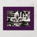 Recherche de lis blanc cartes postales Noir et blanc