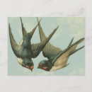 Suche nach zwei vögel postkarten Retro