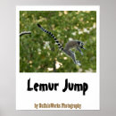 Recherche de llemur posters Primate