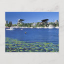 Recherche de universités cartes postales Usa