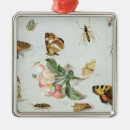Suche nach schmetterlinge und motten ornamente Käfer