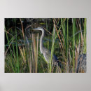 Suche nach blaues gras poster Natur