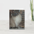 Suche nach ragdoll cat karten Liebe