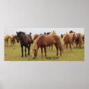 Suche nach braunes pferd poster Schön