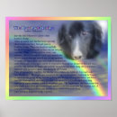 Suche nach regenbogenbrücke poster Für sie