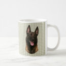 Recherche de malinois tasses Belge