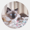 Suche nach kawaii augen aufkleber Katze