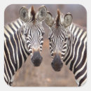 Suche nach krüge aufkleber Krüger nationalpark