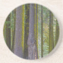 Recherche de troncs dessous de verres Paysage