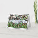 Recherche de nu vœux cartes Champignons