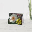 Suche nach duft karten Rosa