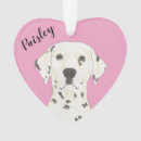 Suche nach dalmatiner ornamente Personalisiert